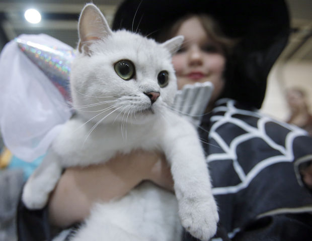 Animal shots of the week